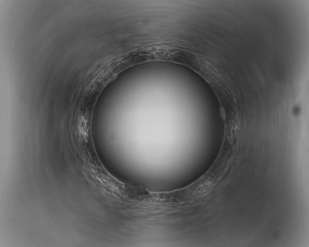 X0000115631010200911101433