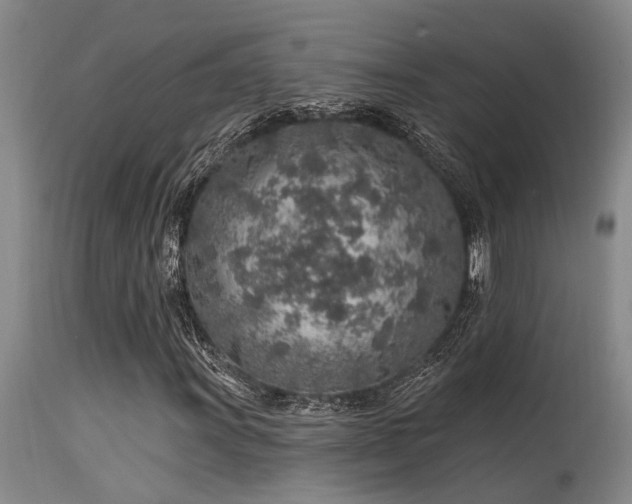 X0000115631011200911101433