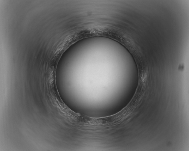 X0000115631012200911101433
