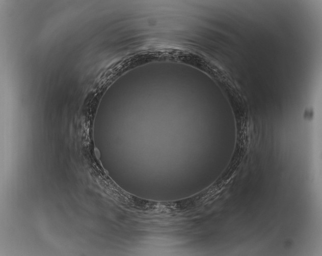 X0000115631013200911101433