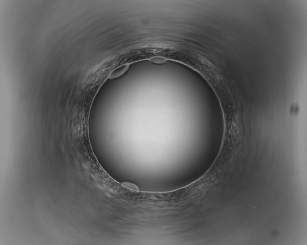 X0000115631014200911101433