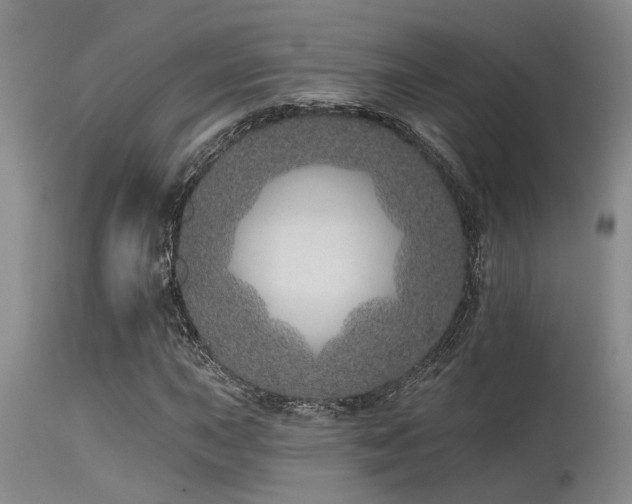 X0000115631015200911101433