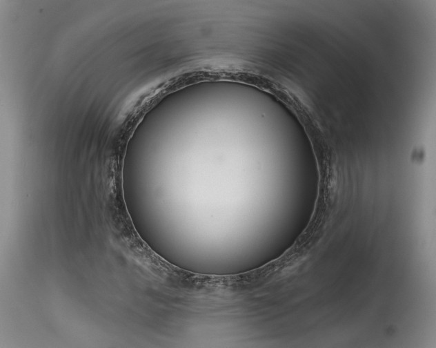 X0000115631016200911101433