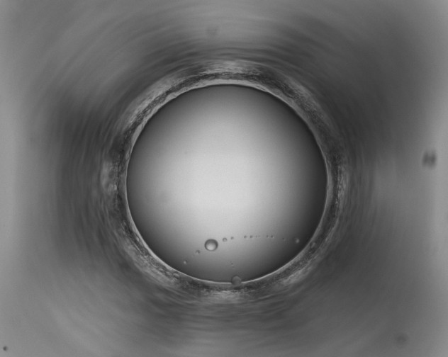 X0000115631017200911101433