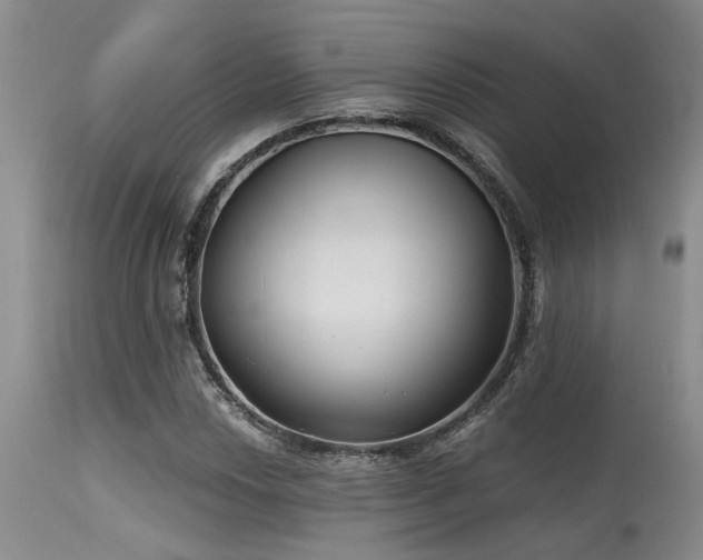 X0000115631018200911101433