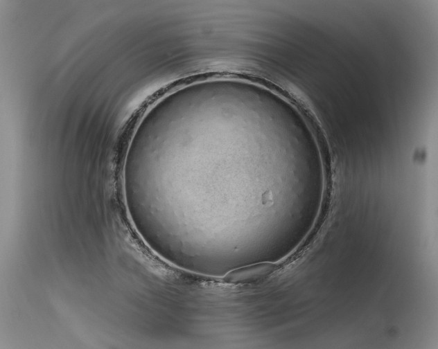 X0000115631019200911101433
