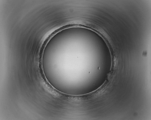 X0000115631020200911101433