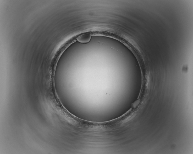 X0000115631021200911101433