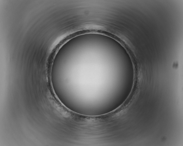 X0000115631022200911101433