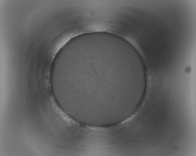X0000115631023200911101433