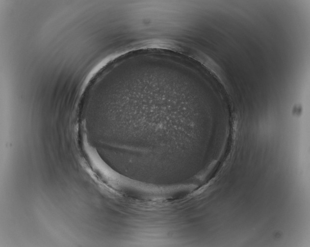 X0000115631024200911101433