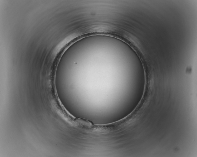 X0000115631026200911101433