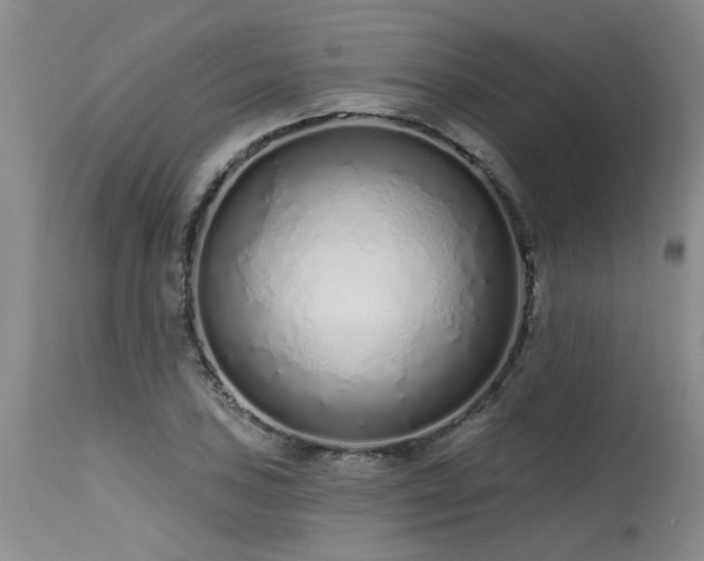 X0000115631027200911101433