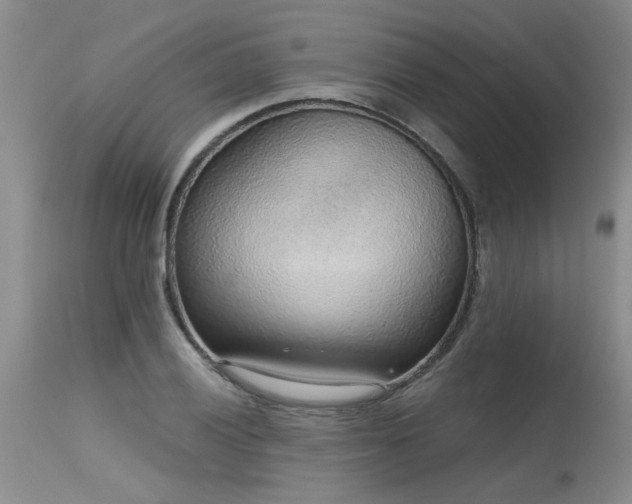 X0000115631028200911101433