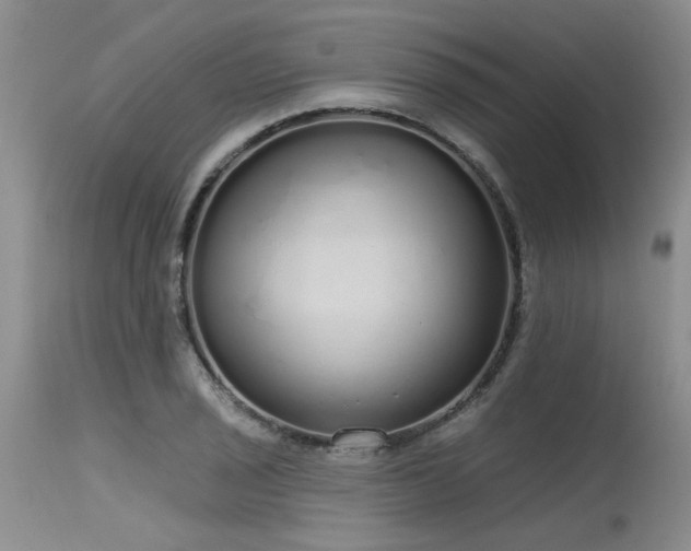 X0000115631029200911101433