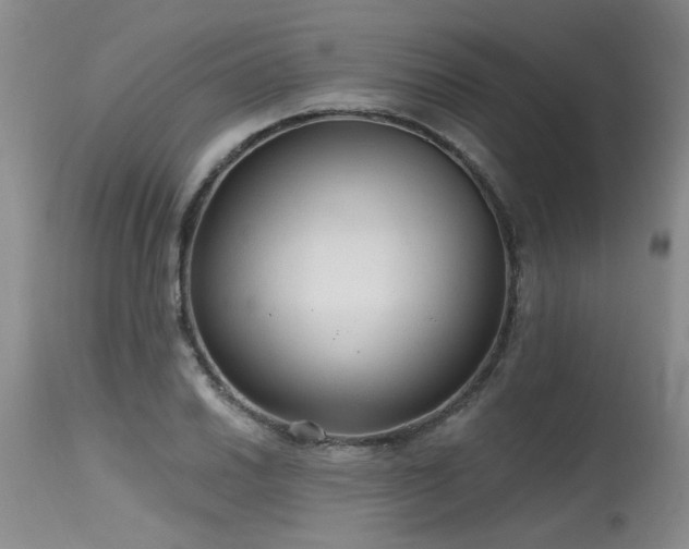 X0000115631030200911101433