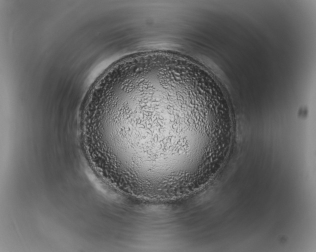 X0000115631031200911101433