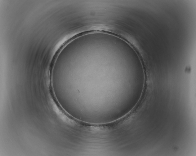X0000115631032200911101433