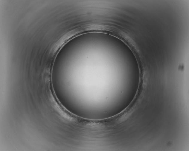 X0000115631033200911101433