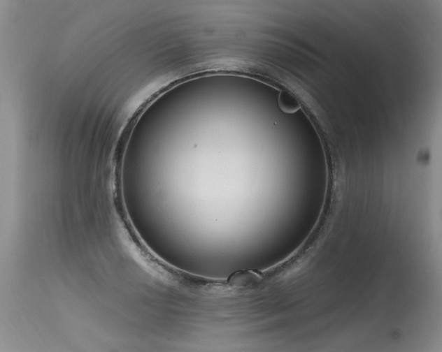 X0000115631034200911101433