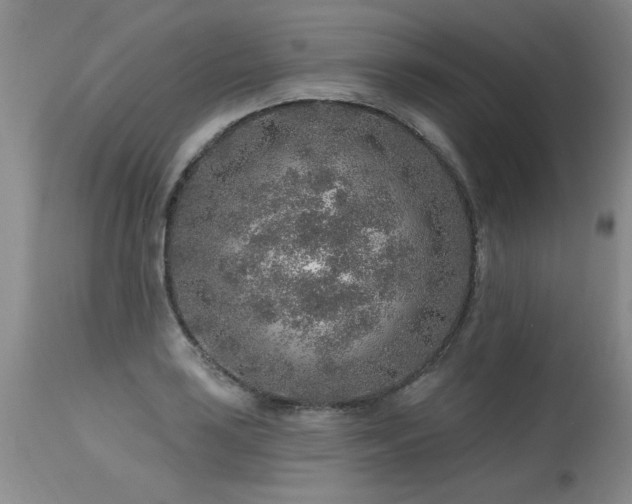 X0000115631035200911101433