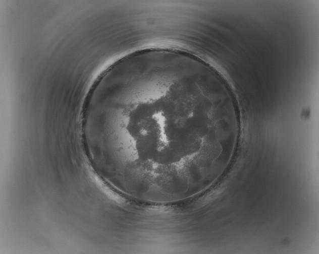 X0000115631037200911101433
