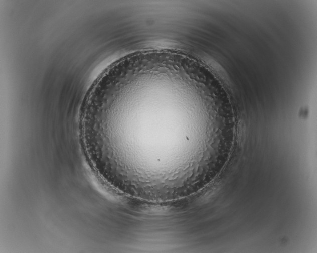 X0000115631039200911101433