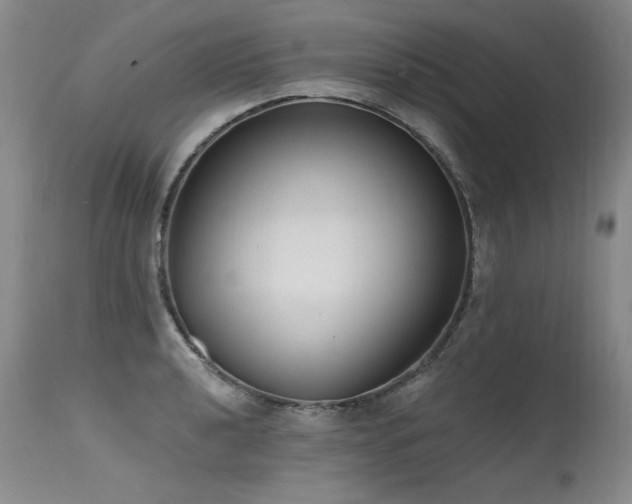 X0000115631040200911101433
