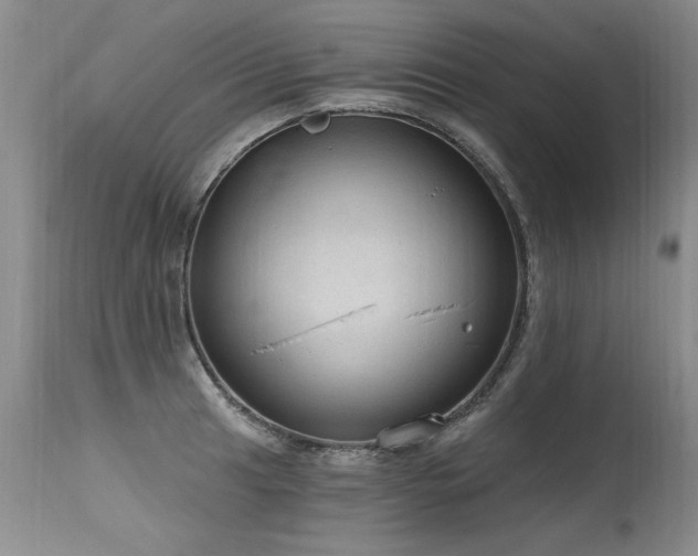 X0000115631041200911101433