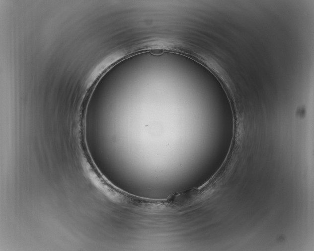 X0000115631042200911101433