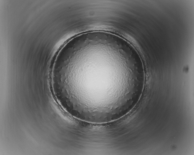 X0000115631043200911101433