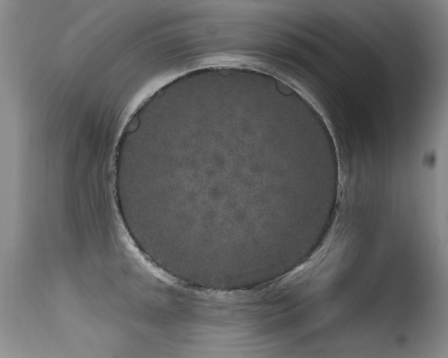X0000115631045200911101433