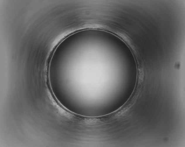 X0000115631046200911101433