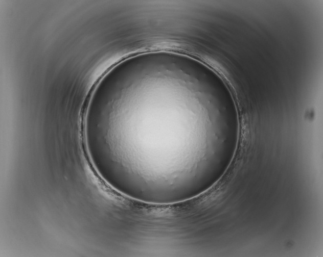 X0000115631047200911101433
