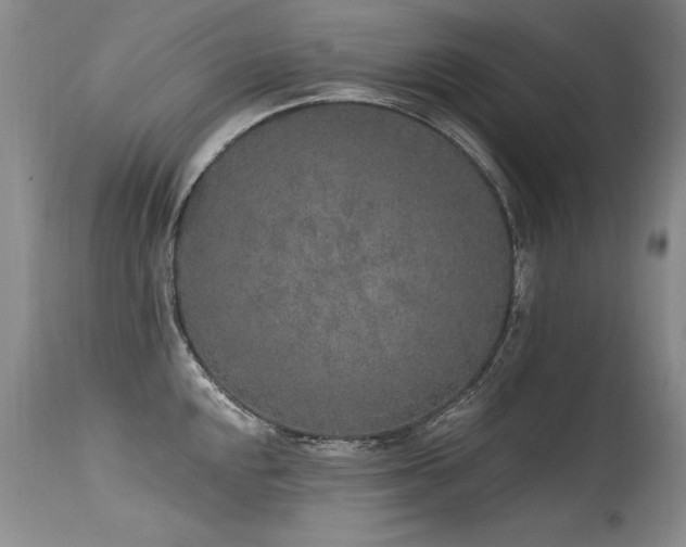 X0000115631048200911101433