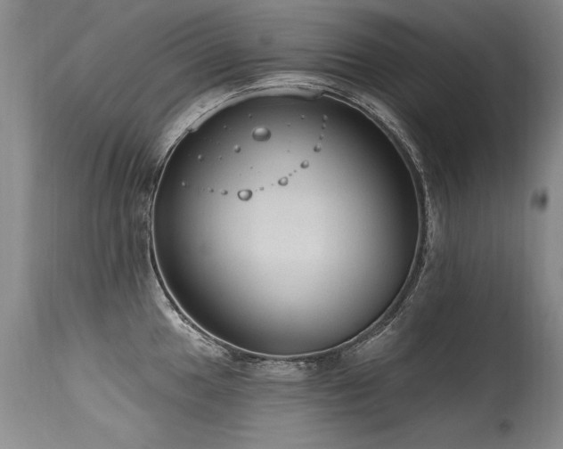 X0000115631049200911101433