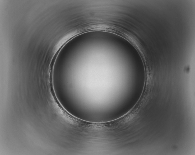 X0000115631050200911101433