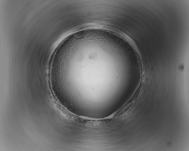 X0000115631051200911101433