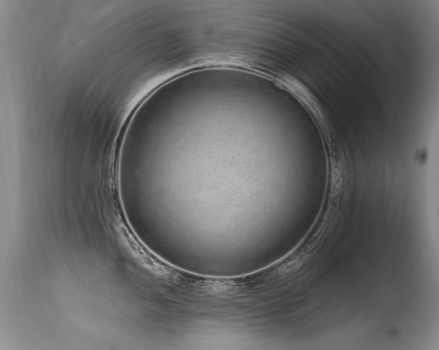 X0000115631052200911101433