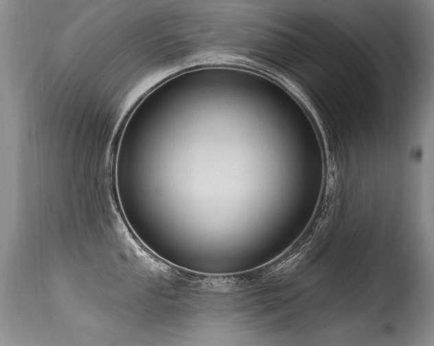 X0000115631053200911101433