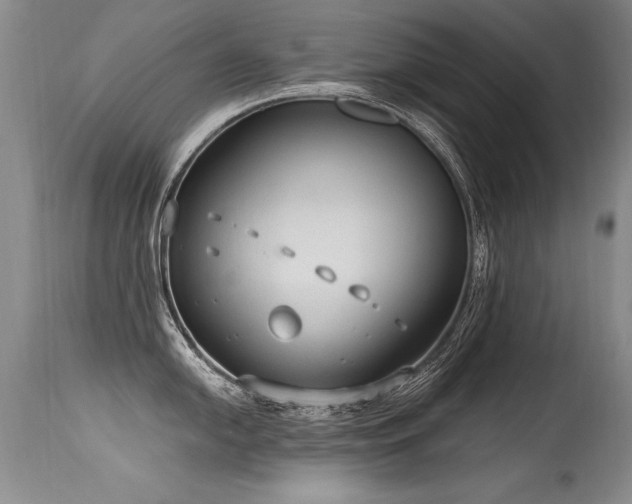 X0000115631054200911101433