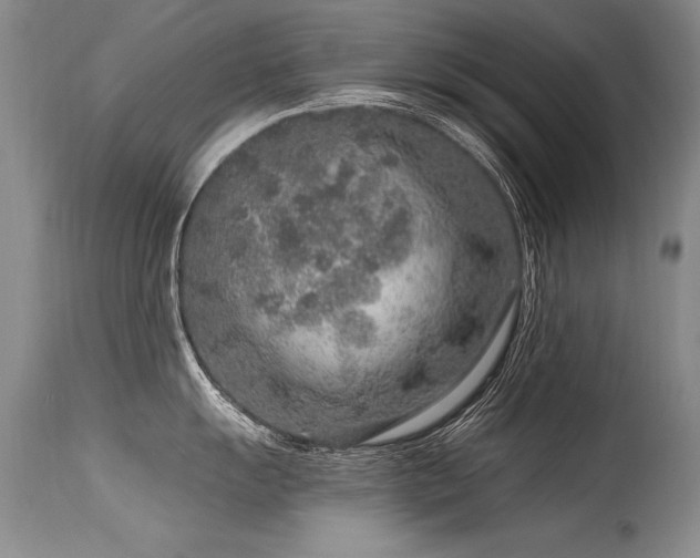 X0000115631055200911101433