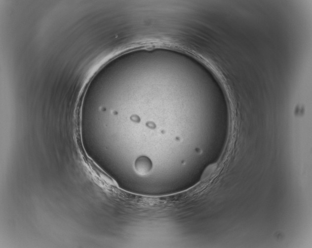 X0000115631056200911101433