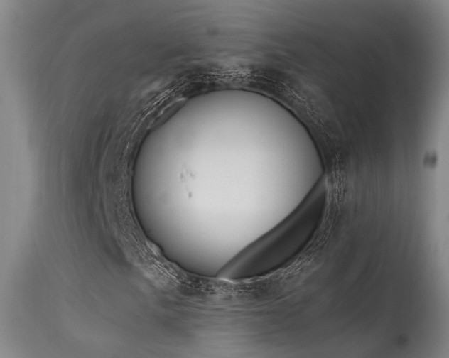 X0000115631057200911101433