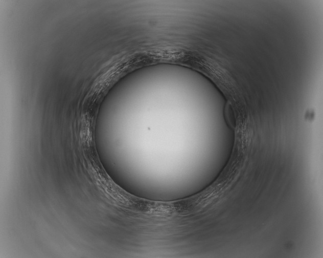 X0000115631058200911101433