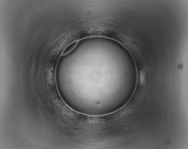 X0000115631059200911101433