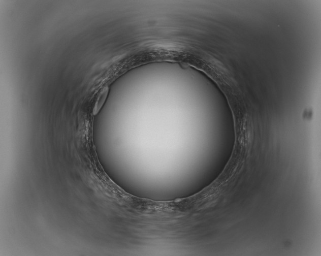 X0000115631061200911101432