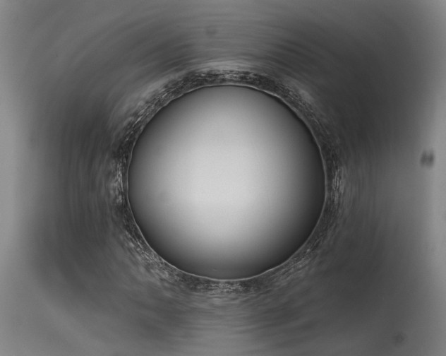 X0000115631062200911101432