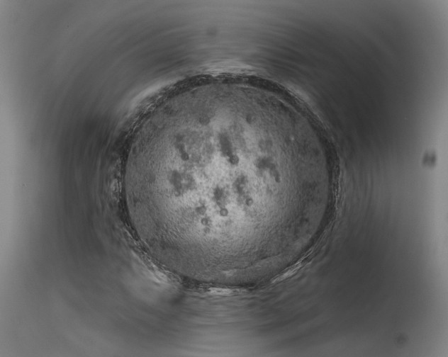X0000115631063200911101432