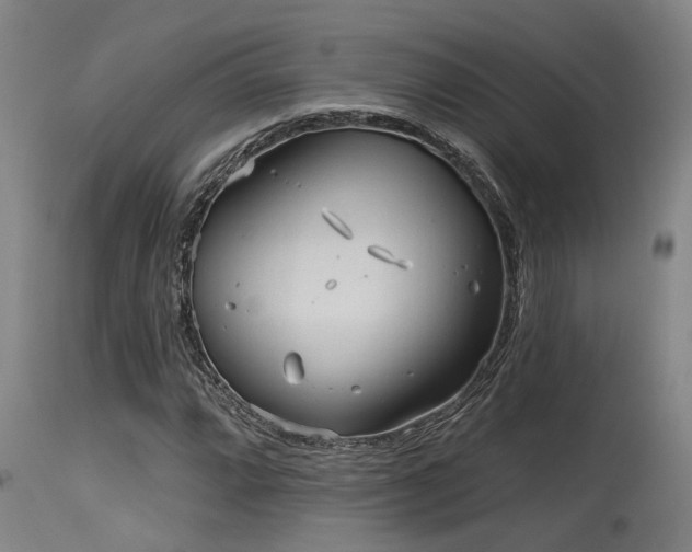 X0000115631064200911101432